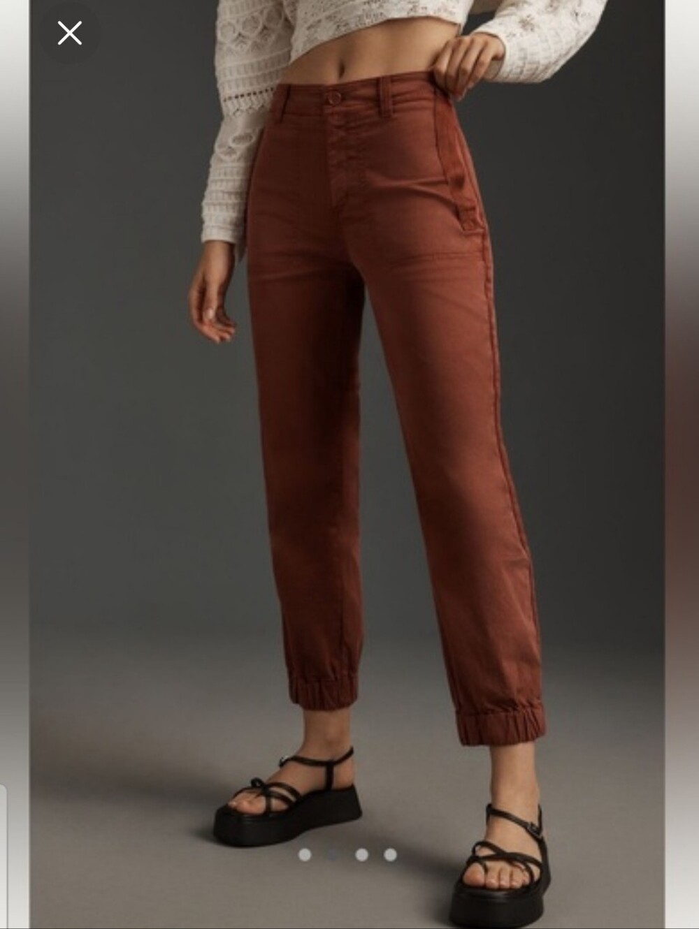 Anthropologie The Ritchie Slim Rust Brown High-Rise Jogger Pants Size 4